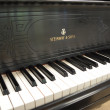 1899 One of a kind Steinway Concert Grand piano - Grand Pianos